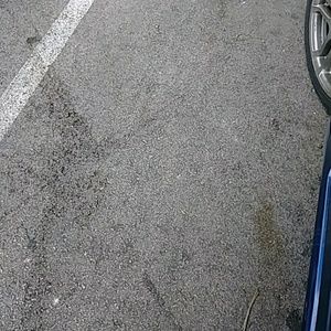 Meet your Posher, Cathy